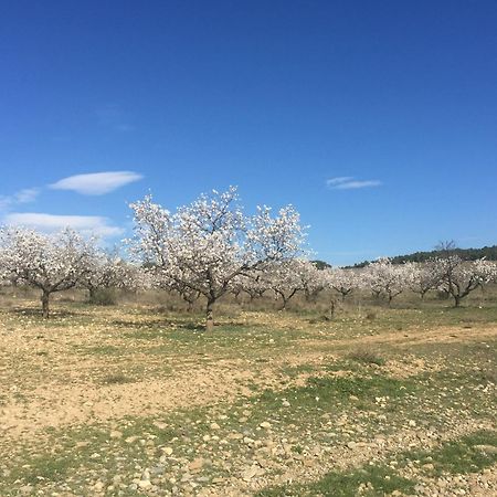 ארגואדס Alojamientos La Alberca מראה חיצוני תמונה