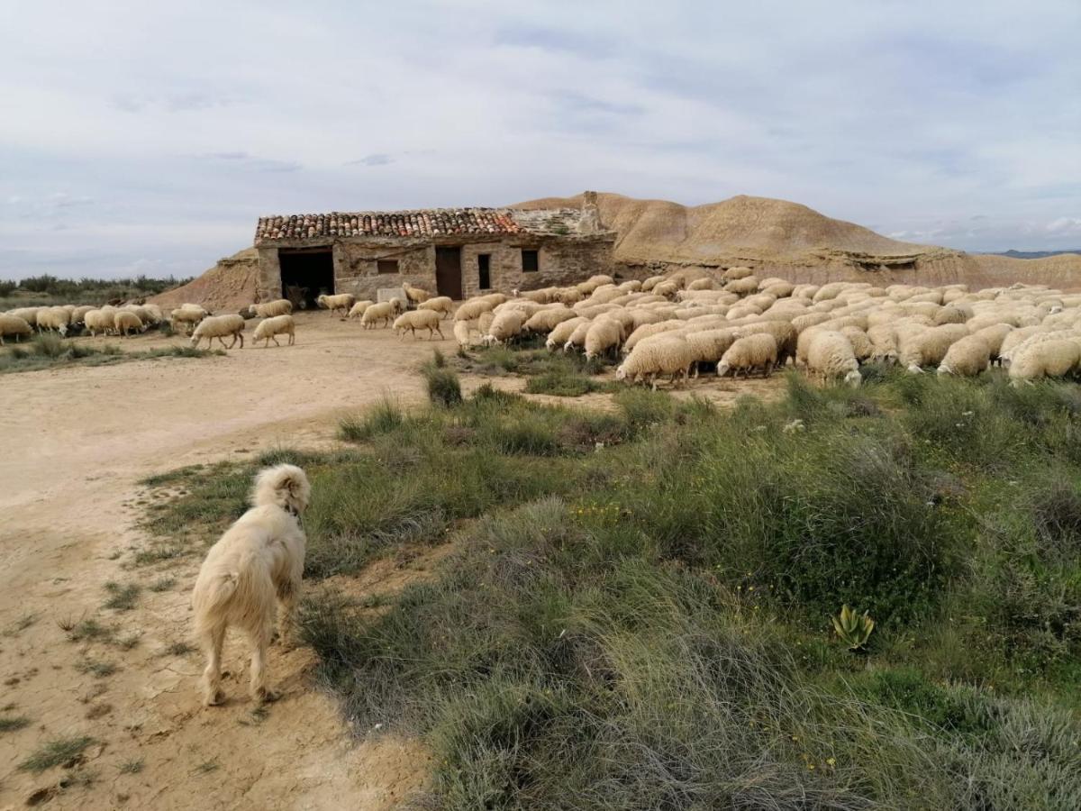 ארגואדס Alojamientos La Alberca מראה חיצוני תמונה